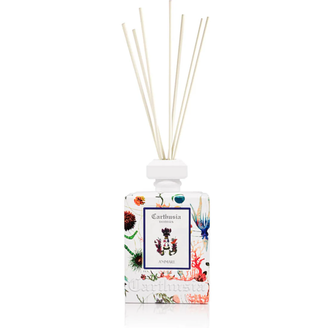 Miniatura 9