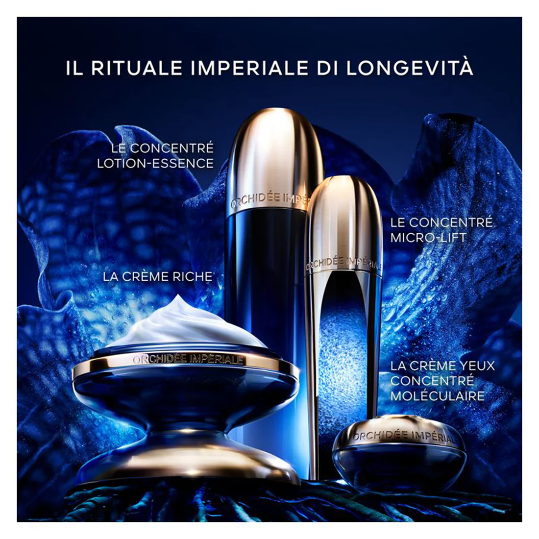 Miniatura 11