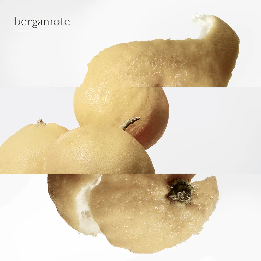 Miniatura 14