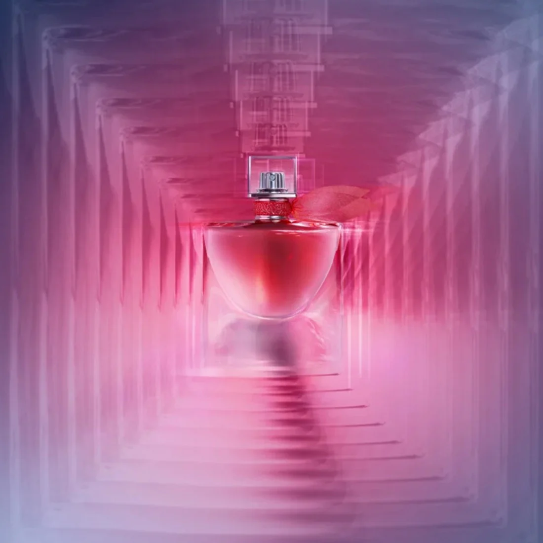 Miniatura 12
