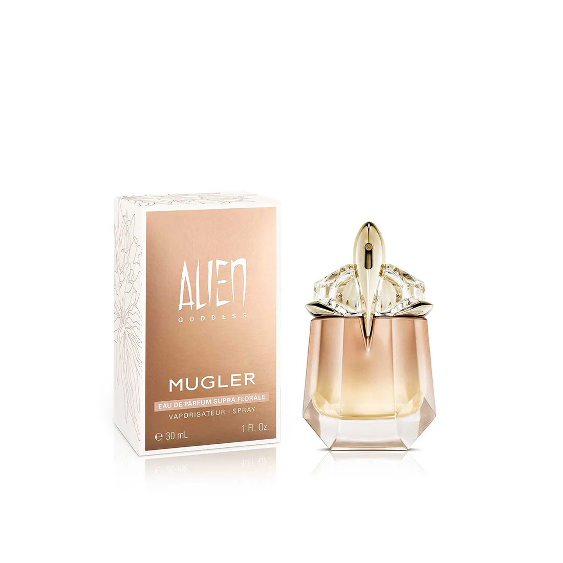 Miniatura 12