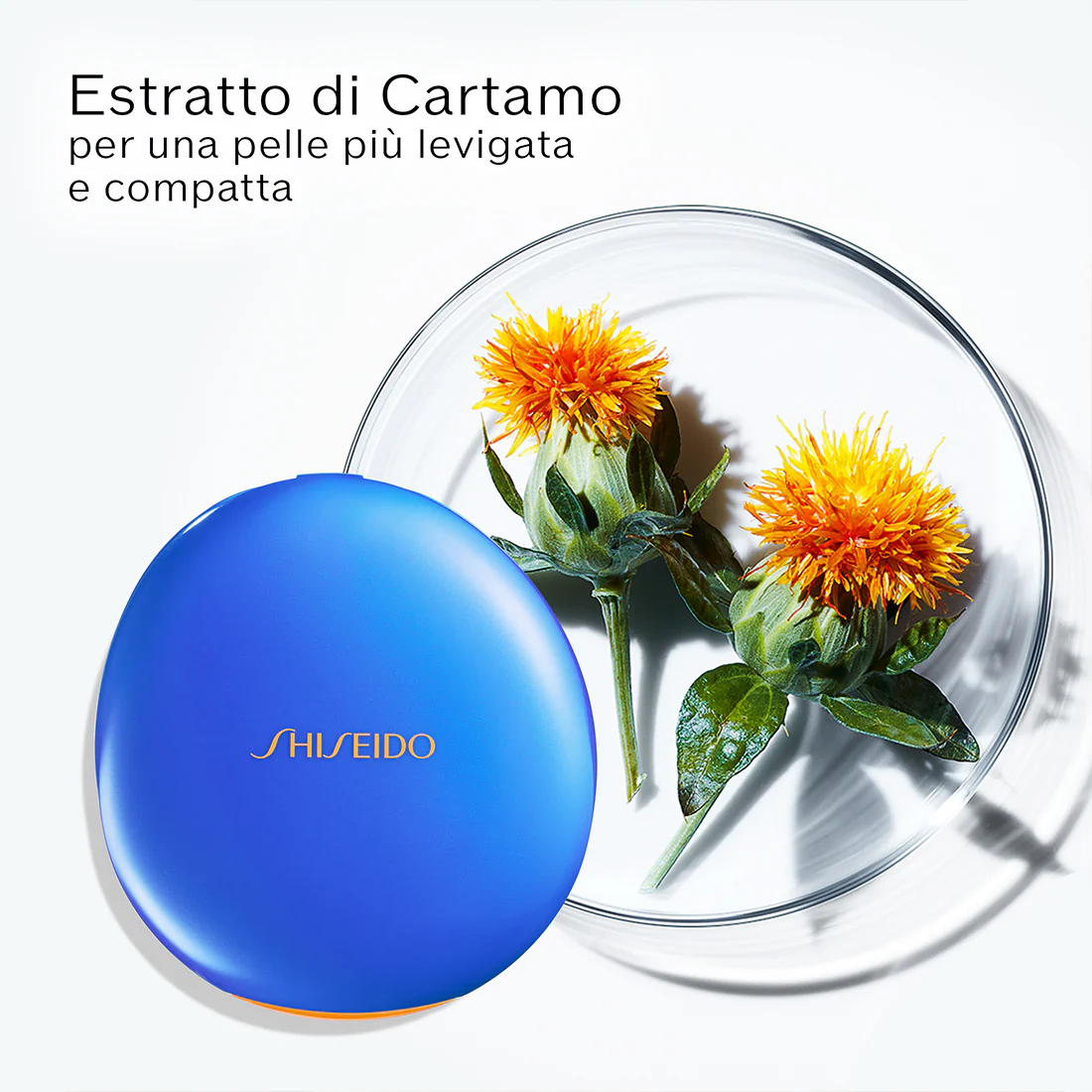 Miniatura 19