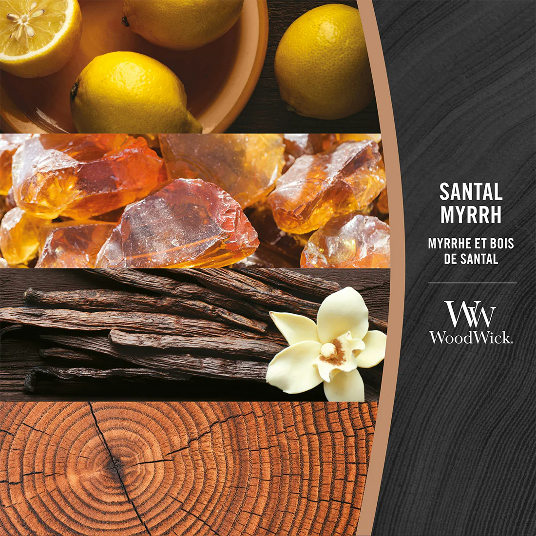 Miniatura 10